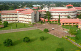 BSUTH