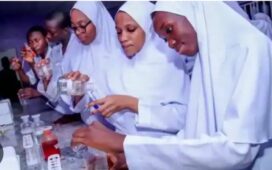 School of Tech Alkaleri Bauchi