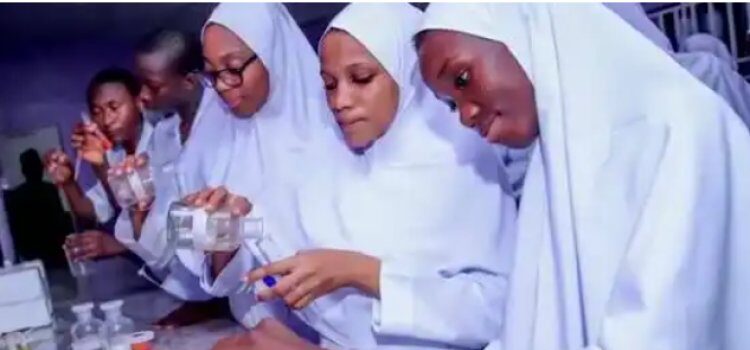 School of Tech Alkaleri Bauchi