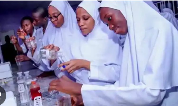 School of Tech Alkaleri Bauchi