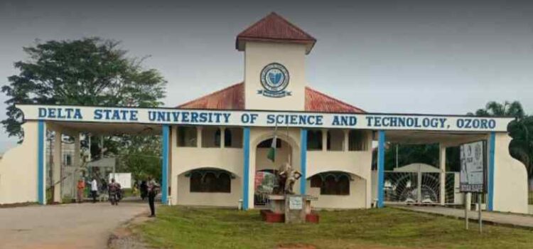 Delta-State-University-of-Science-and-Technology