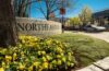 North-Eastern University